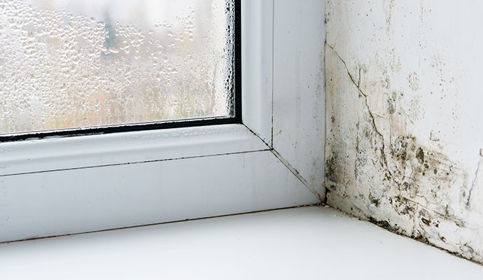 Crawl Space Humidity Control & Structural Protection