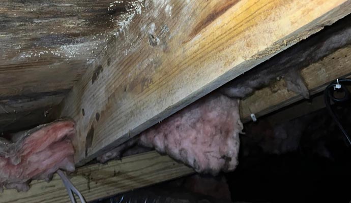 Crawl Space Dehumidification 4