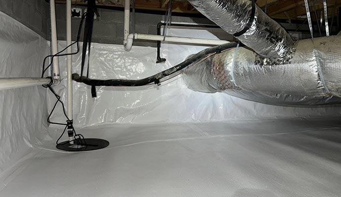 Crawl Space Services 5