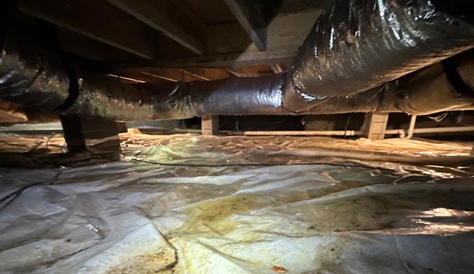 Crawl Space Waterproofing 3