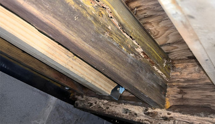 Damaged crawl space wood with discoloration and rot