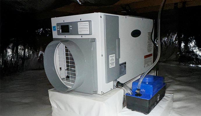 Moisture Control Services 4