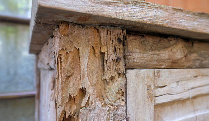 Wood rot repair in Nashville